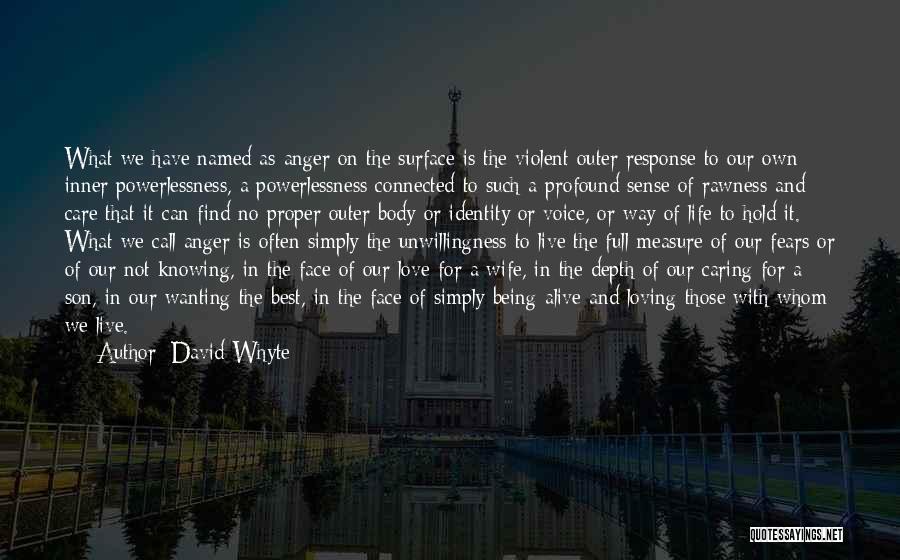 Full Measure Quotes By David Whyte