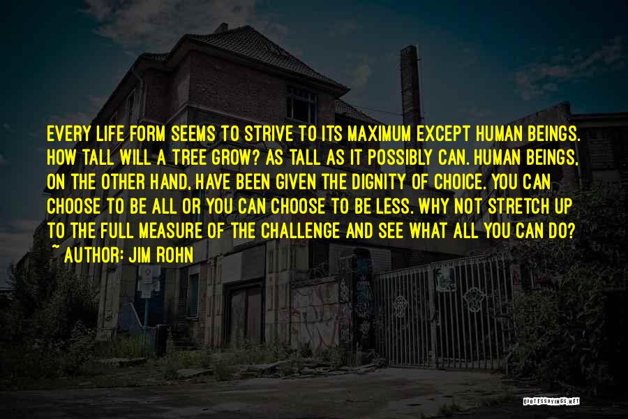 Full Measure Quotes By Jim Rohn