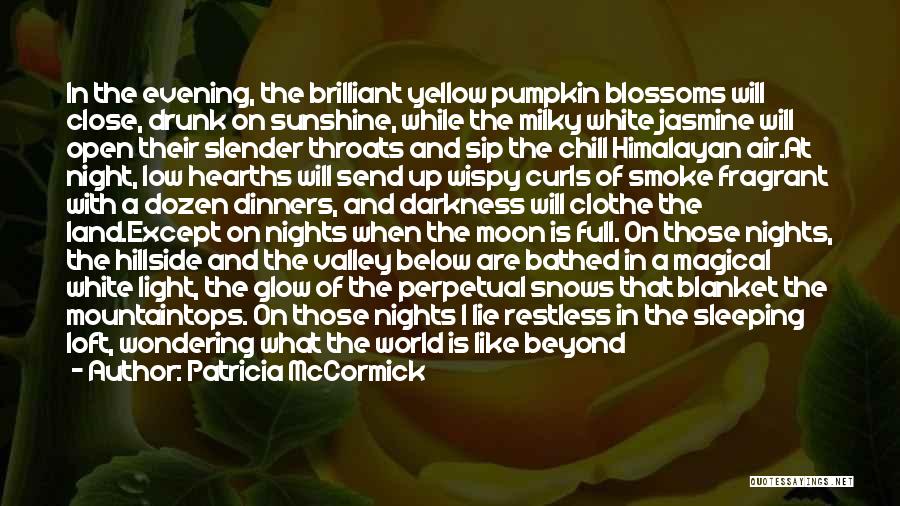 Full Moon Night Quotes By Patricia McCormick