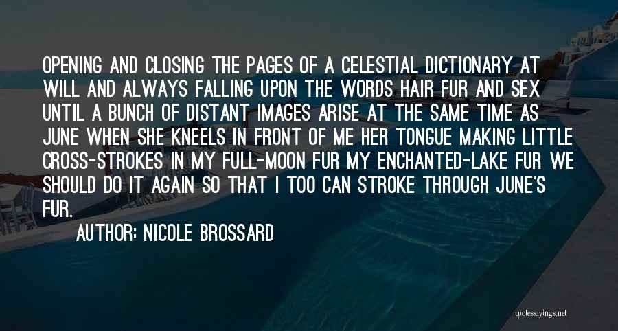 Full Moon Quotes By Nicole Brossard