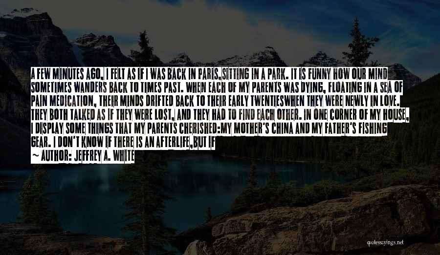 Full Of Pain Quotes By Jeffrey A. White