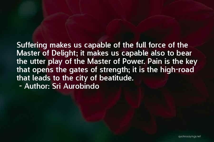 Full Of Pain Quotes By Sri Aurobindo