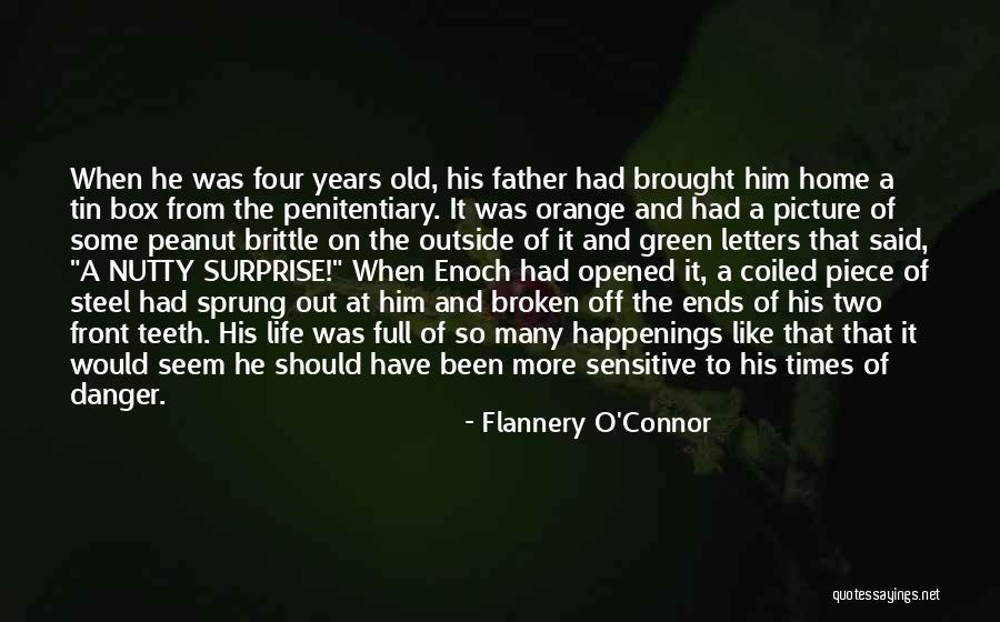 Full Picture Quotes By Flannery O'Connor Full Picture Quotes By Flannery O'Connor