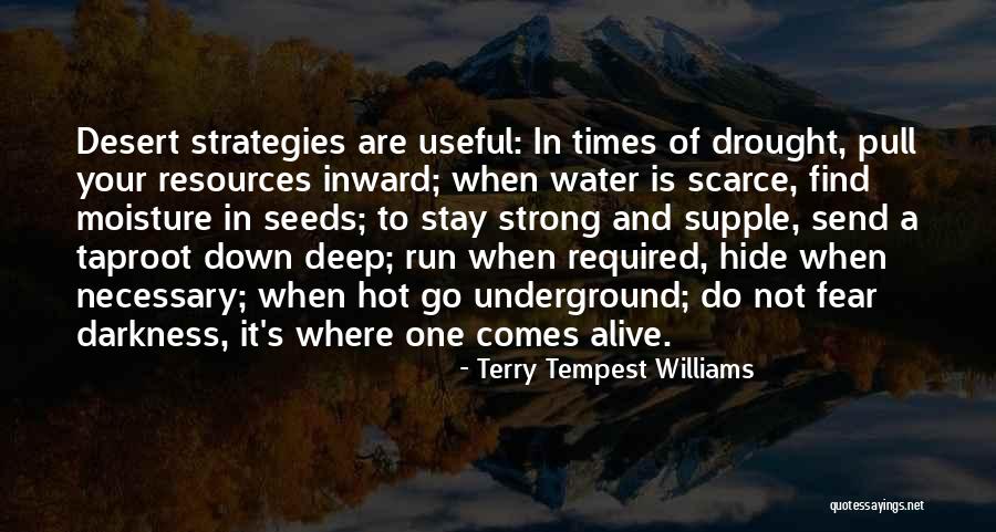 Full Steam Ahead Book Quotes By Terry Tempest Williams Full Steam Ahead Book Quotes By Terry Tempest Williams