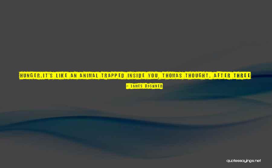Full Stomach Quotes By James Dashner Full Stomach Quotes By James Dashner