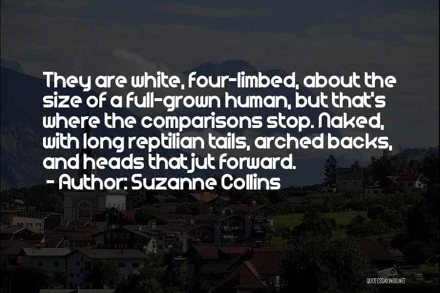 Full Stop And Quotes By Suzanne Collins