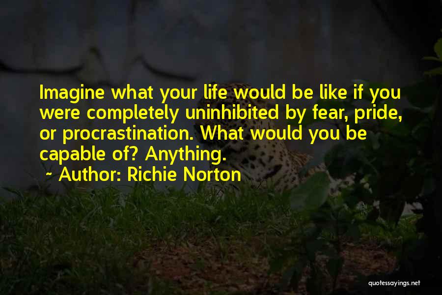 Fullest Life Quotes By Richie Norton