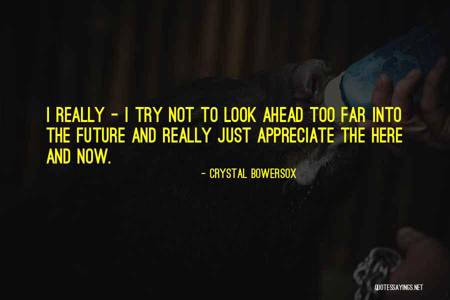 Fullmetal Alchemist Brotherhood Quotes By Crystal Bowersox Fullmetal Alchemist Brotherhood Quotes By Crystal Bowersox