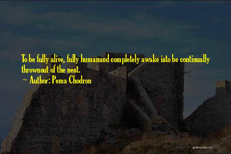 Fully Human Fully Alive Quotes By Pema Chodron