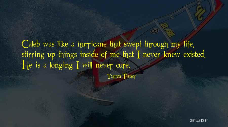Fulmars In Cornwall Quotes By Tarryn Fisher Fulmars In Cornwall Quotes By Tarryn Fisher