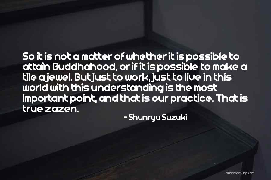 Fulmars Tallahassee Quotes By Shunryu Suzuki Fulmars Tallahassee Quotes By Shunryu Suzuki