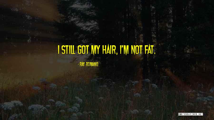 Fulmer Detroit Quotes By Ray Romano Fulmer Detroit Quotes By Ray Romano