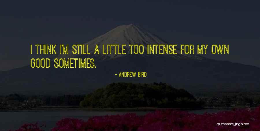 Fulmer Middle School Quotes By Andrew Bird Fulmer Middle School Quotes By Andrew Bird