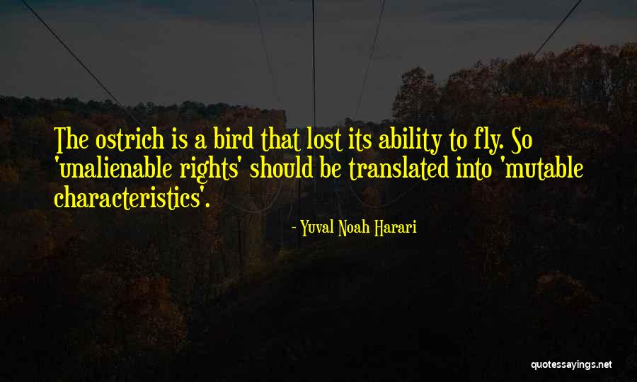 Fulton County Ymca Quotes By Yuval Noah Harari Fulton County Ymca Quotes By Yuval Noah Harari