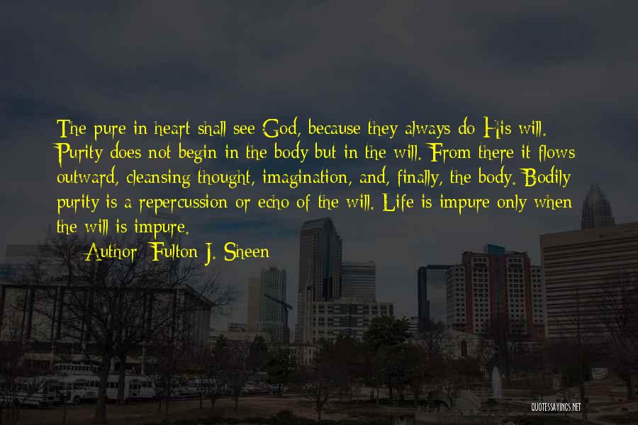 Fulton J. Sheen Quotes 287945