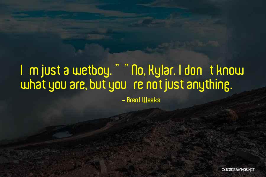 Fumarolas Quotes By Brent Weeks Fumarolas Quotes By Brent Weeks