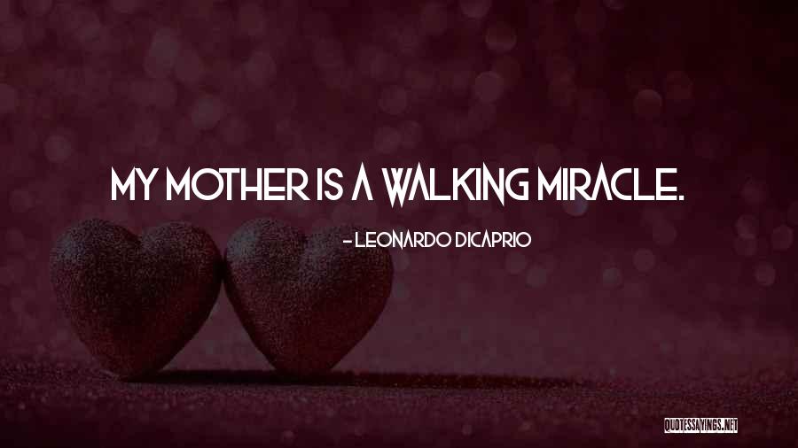 Fumey Quotes By Leonardo DiCaprio Fumey Quotes By Leonardo DiCaprio