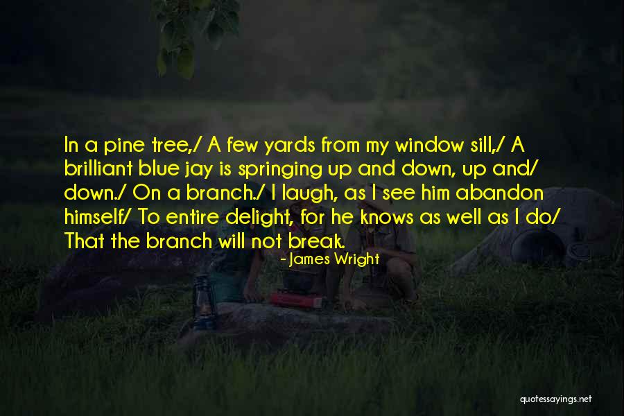 Fumitaka Yano Quotes By James Wright Fumitaka Yano Quotes By James Wright