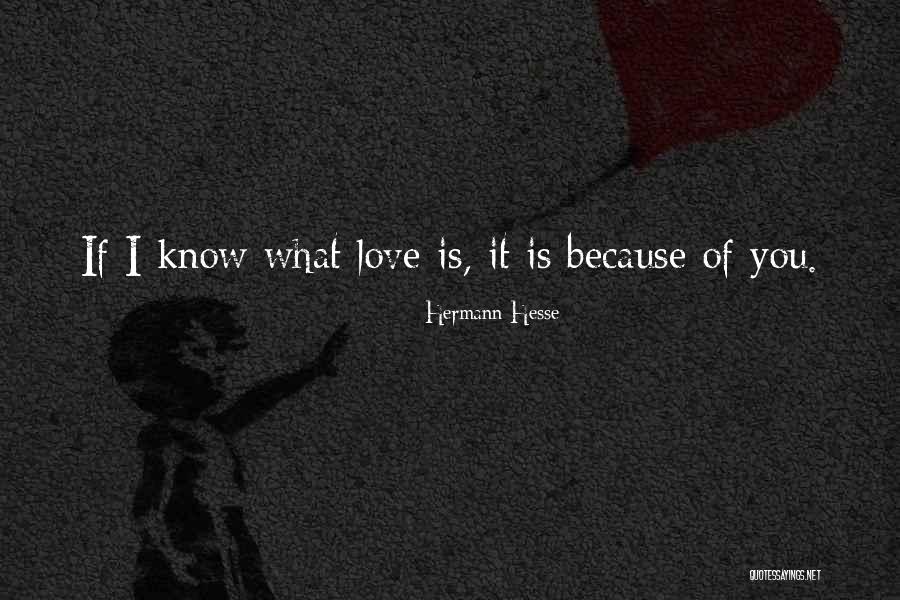 Fumitake Igarashi Quotes By Hermann Hesse Fumitake Igarashi Quotes By Hermann Hesse