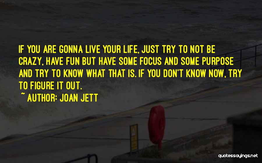 Fun And Crazy Quotes By Joan Jett