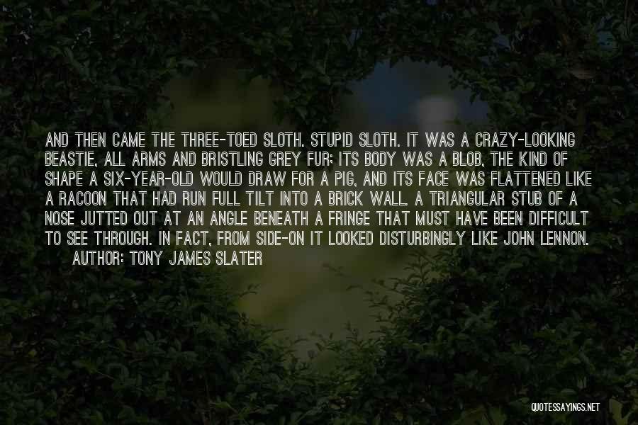 Fun And Crazy Quotes By Tony James Slater