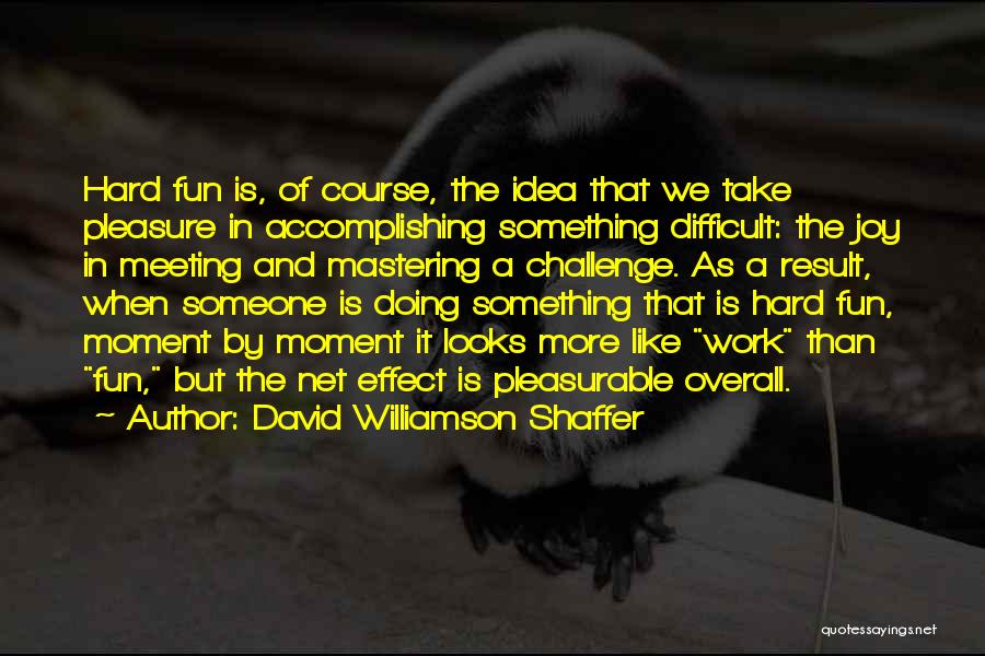 Fun And Hard Work Quotes By David Williamson Shaffer