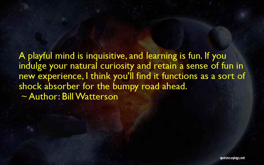 Fun And Learning Quotes By Bill Watterson