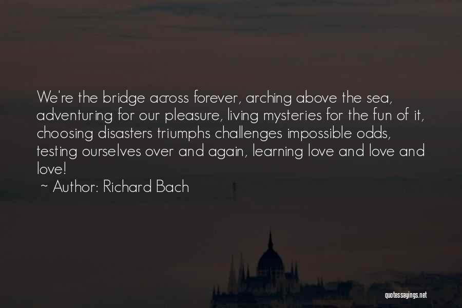 Fun And Learning Quotes By Richard Bach