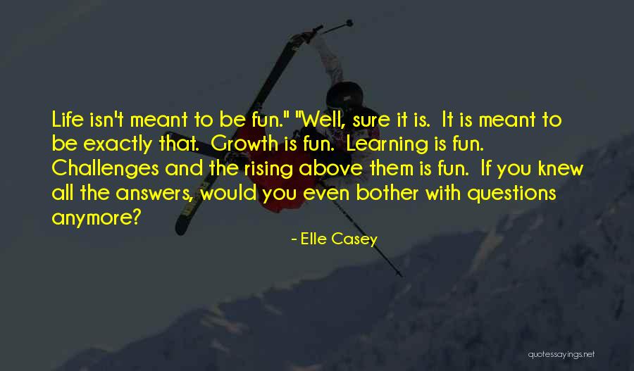 Fun And Life Quotes By Elle Casey