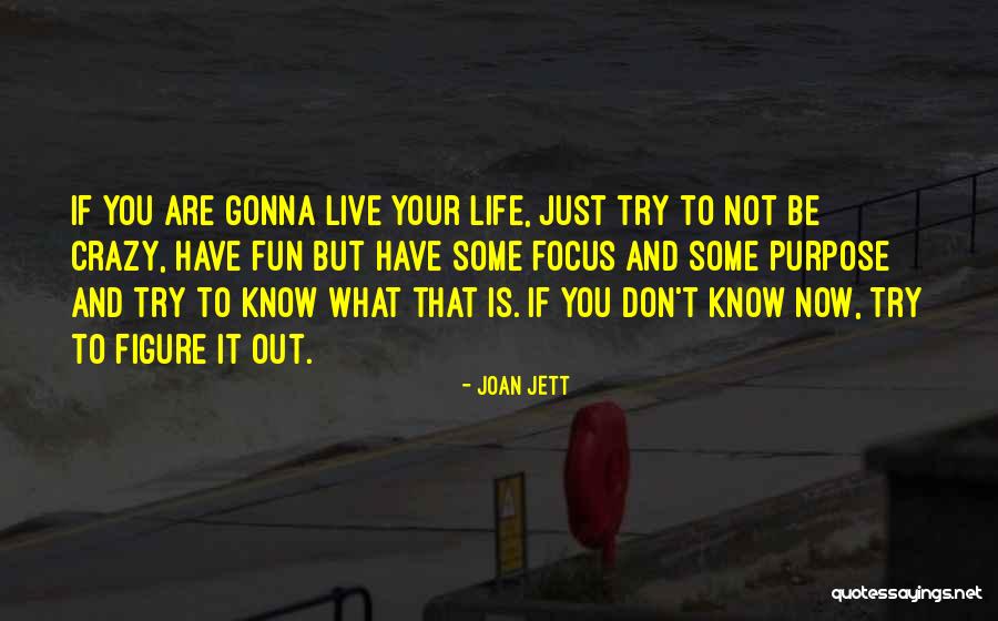 Fun And Life Quotes By Joan Jett