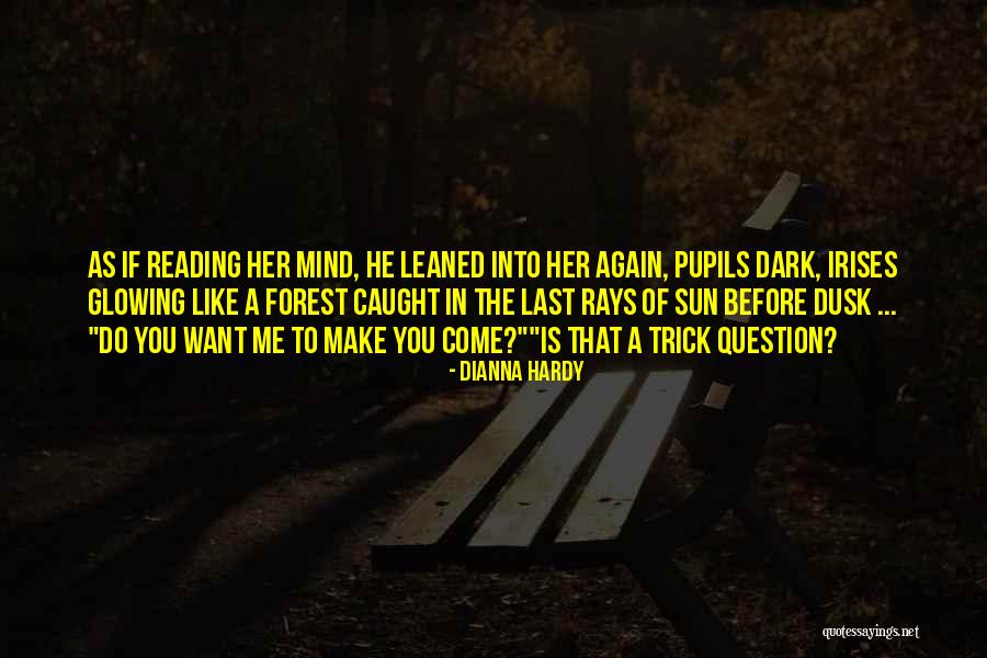 Fun And Playful Quotes By Dianna Hardy Fun And Playful Quotes By Dianna Hardy