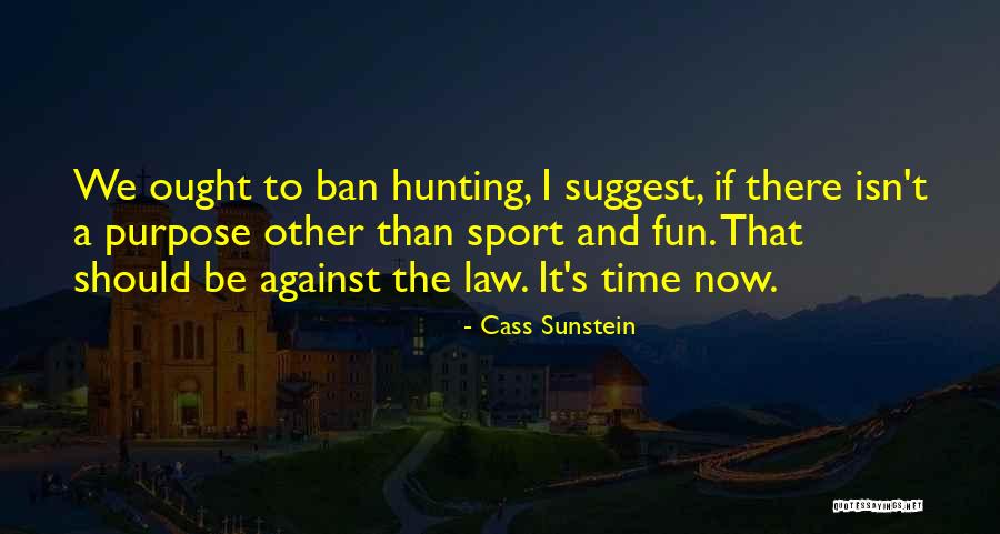 Fun And Sports Quotes By Cass Sunstein