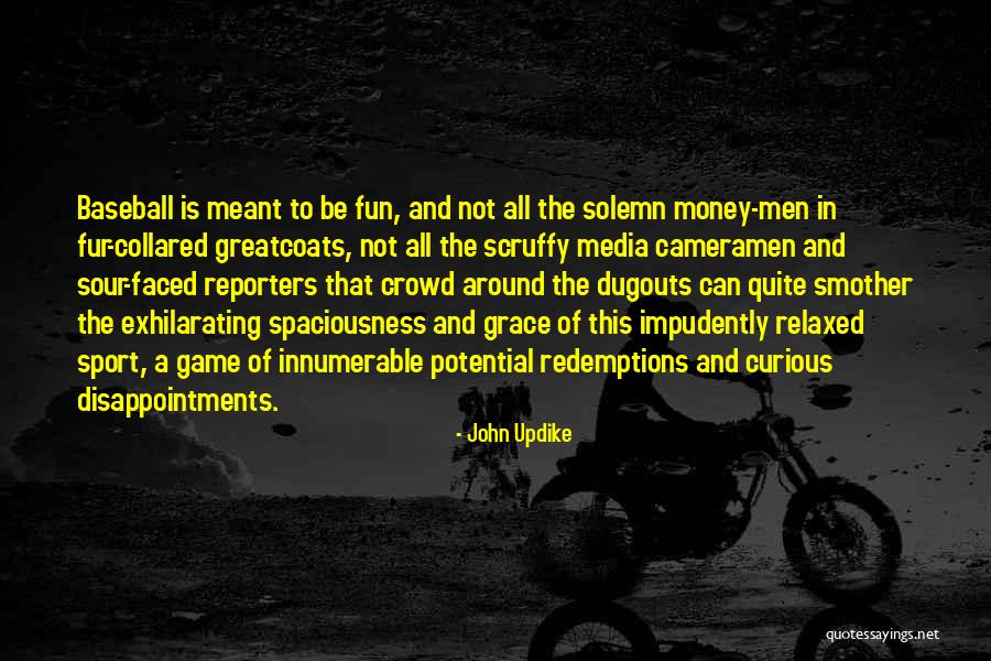 Fun And Sports Quotes By John Updike