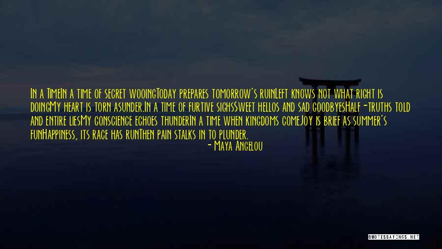 Fun And Summer Quotes By Maya Angelou Fun And Summer Quotes By Maya Angelou