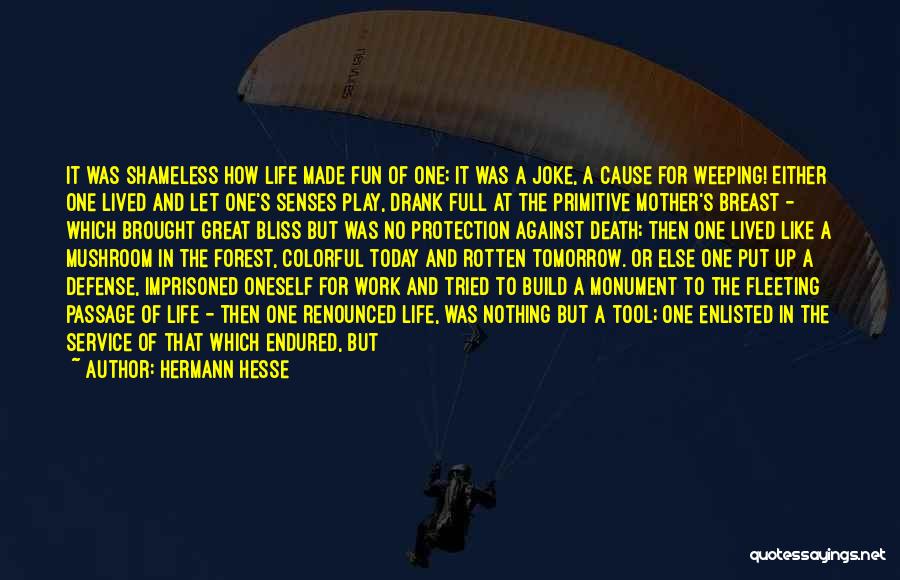 Fun And Work Quotes By Hermann Hesse