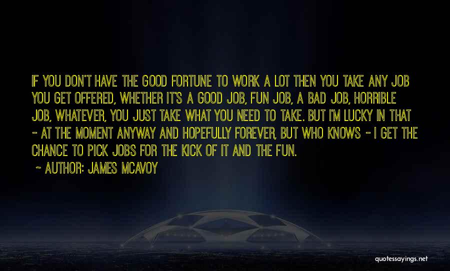 Fun And Work Quotes By James McAvoy