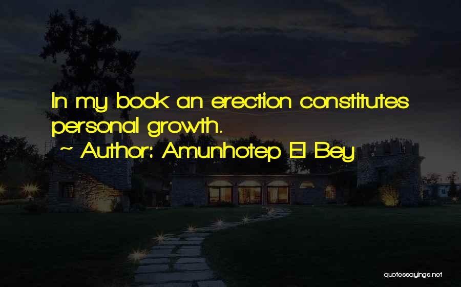 Fun Book Quotes By Amunhotep El Bey