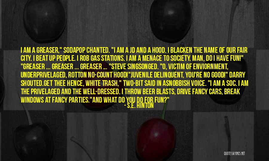 Fun City Quotes By S.E. Hinton Fun City Quotes By S.E. Hinton