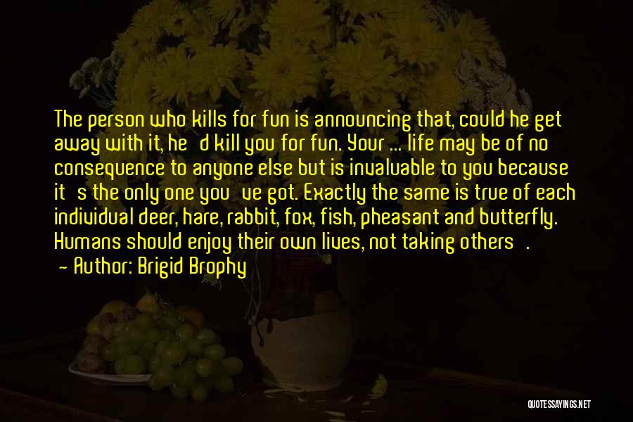 Fun Enjoy Life Quotes By Brigid Brophy