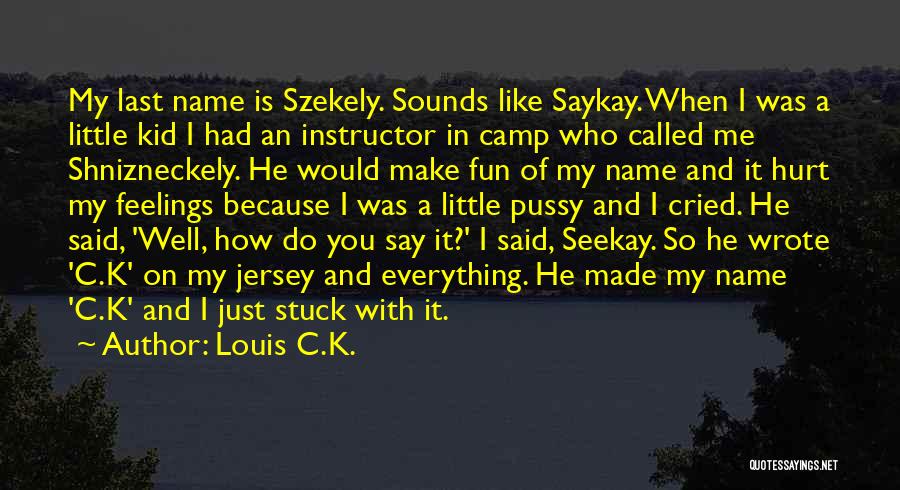 Fun For Louis Quotes By Louis C.K.