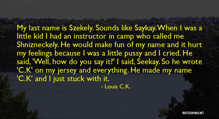 Fun For Louis Quotes By Louis C.K.