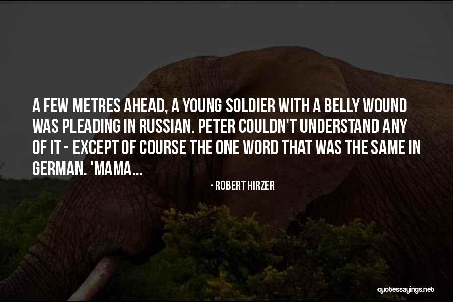 Fun Houses For Sale Quotes By Robert Hirzer Fun Houses For Sale Quotes By Robert Hirzer
