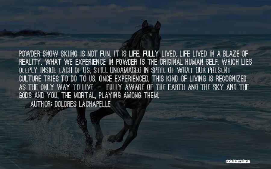 Fun In Life Quotes By Dolores LaChapelle