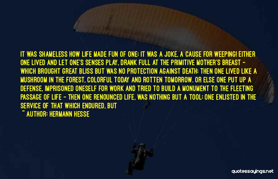 Fun In Life Quotes By Hermann Hesse