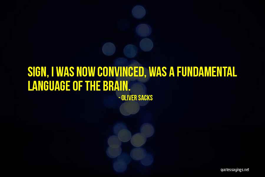 Fun Junk Quotes By Oliver Sacks Fun Junk Quotes By Oliver Sacks