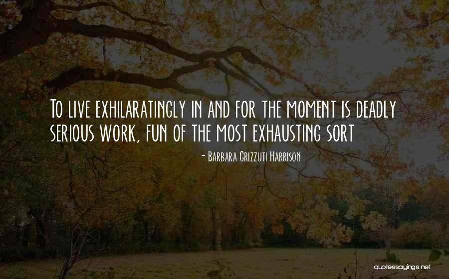Fun Moments Quotes By Barbara Grizzuti Harrison Fun Moments Quotes By Barbara Grizzuti Harrison