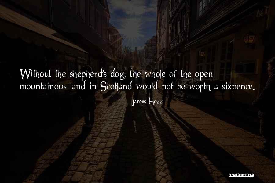 Fun Mushroom Quotes By James Hogg Fun Mushroom Quotes By James Hogg