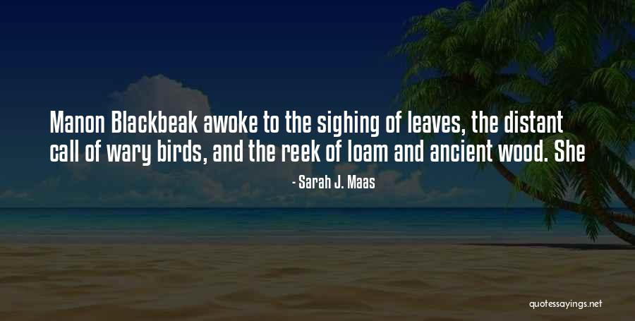Fun Proverbs Quotes By Sarah J. Maas Fun Proverbs Quotes By Sarah J. Maas