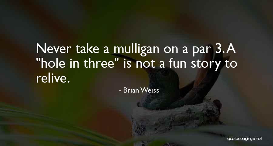 Fun Story Quotes By Brian Weiss Fun Story Quotes By Brian Weiss