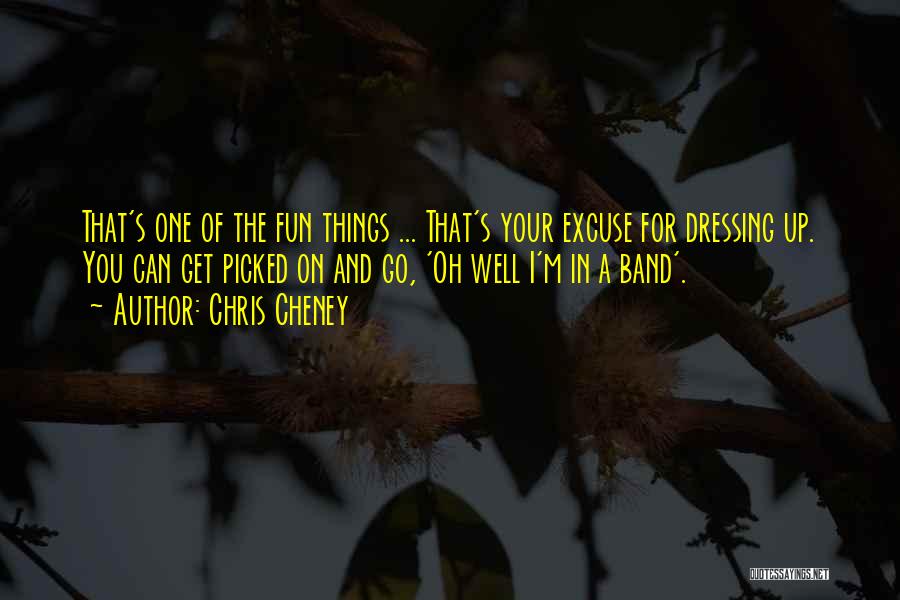 Fun Things Quotes By Chris Cheney